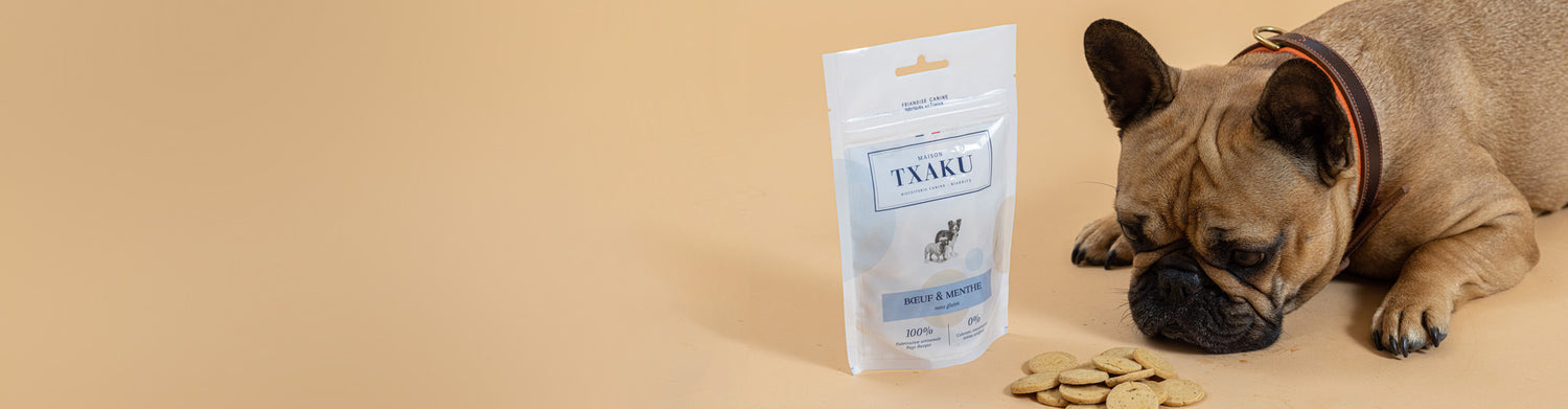 Ortense bouledogue français - txaku biscuit friandise chien