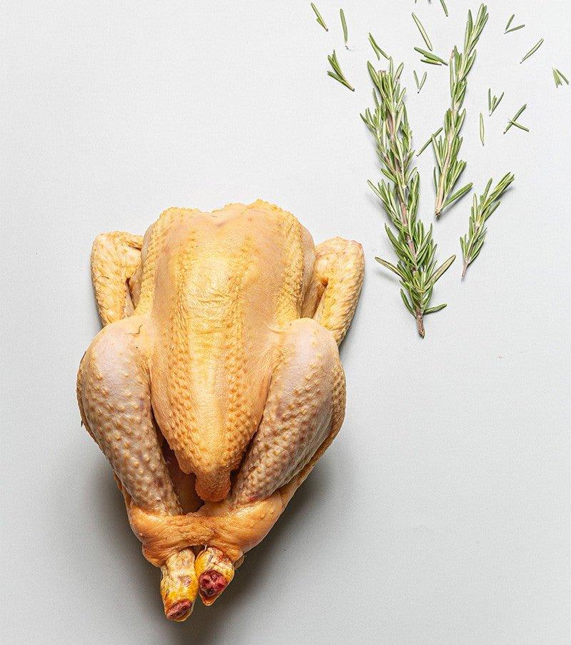 Biscuits pour chien Poulet Romarin - Txaku